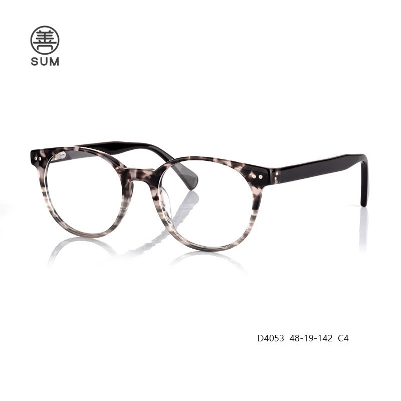 Hot Selling Optical Frames D4053 C4